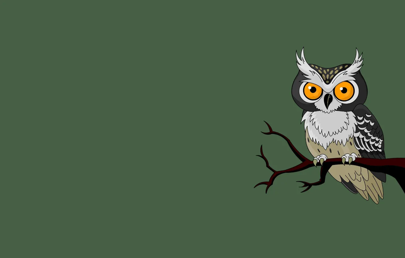 Фото обои сова, птица, минимализм, ветка, зеленый фон, owl