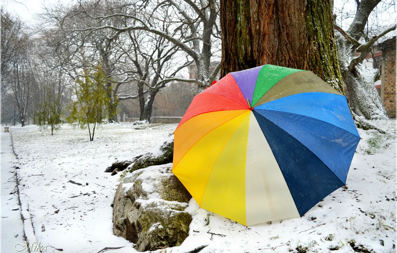 Фото обои Зима, Снег, Зонтик, Winter, Snow, Umbrella