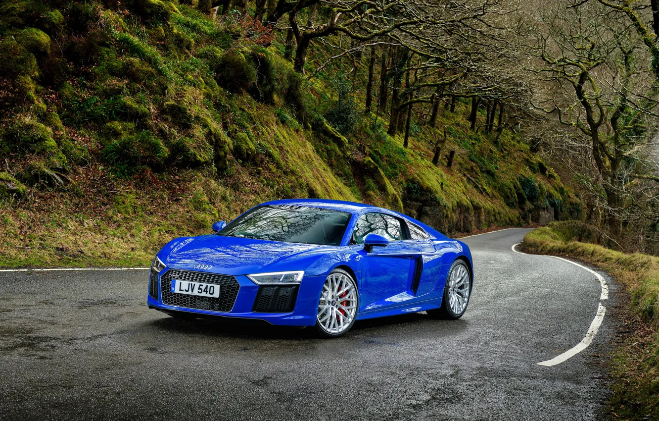 Фото обои дорога, лес, Audi, ауди, суперкар, синяя