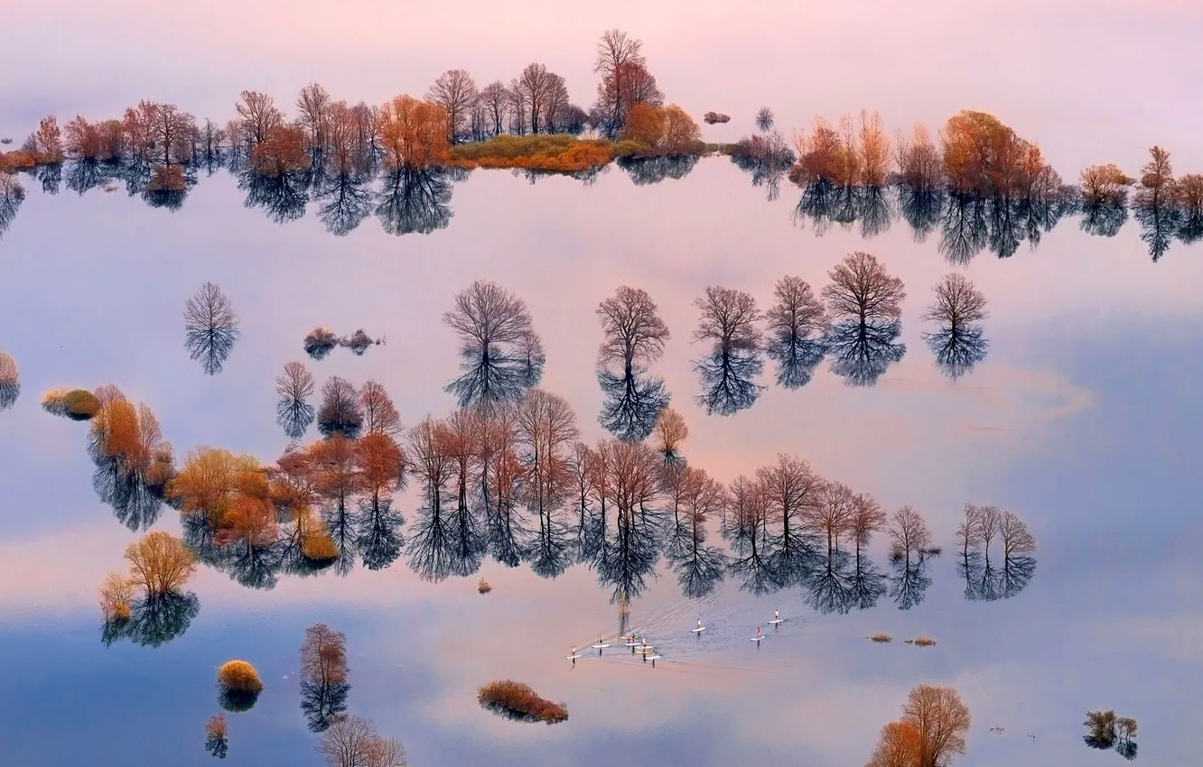 Фото обои вода, деревья, люди, лодка, наводнение, доска, Словения, бассейн реки Любляница