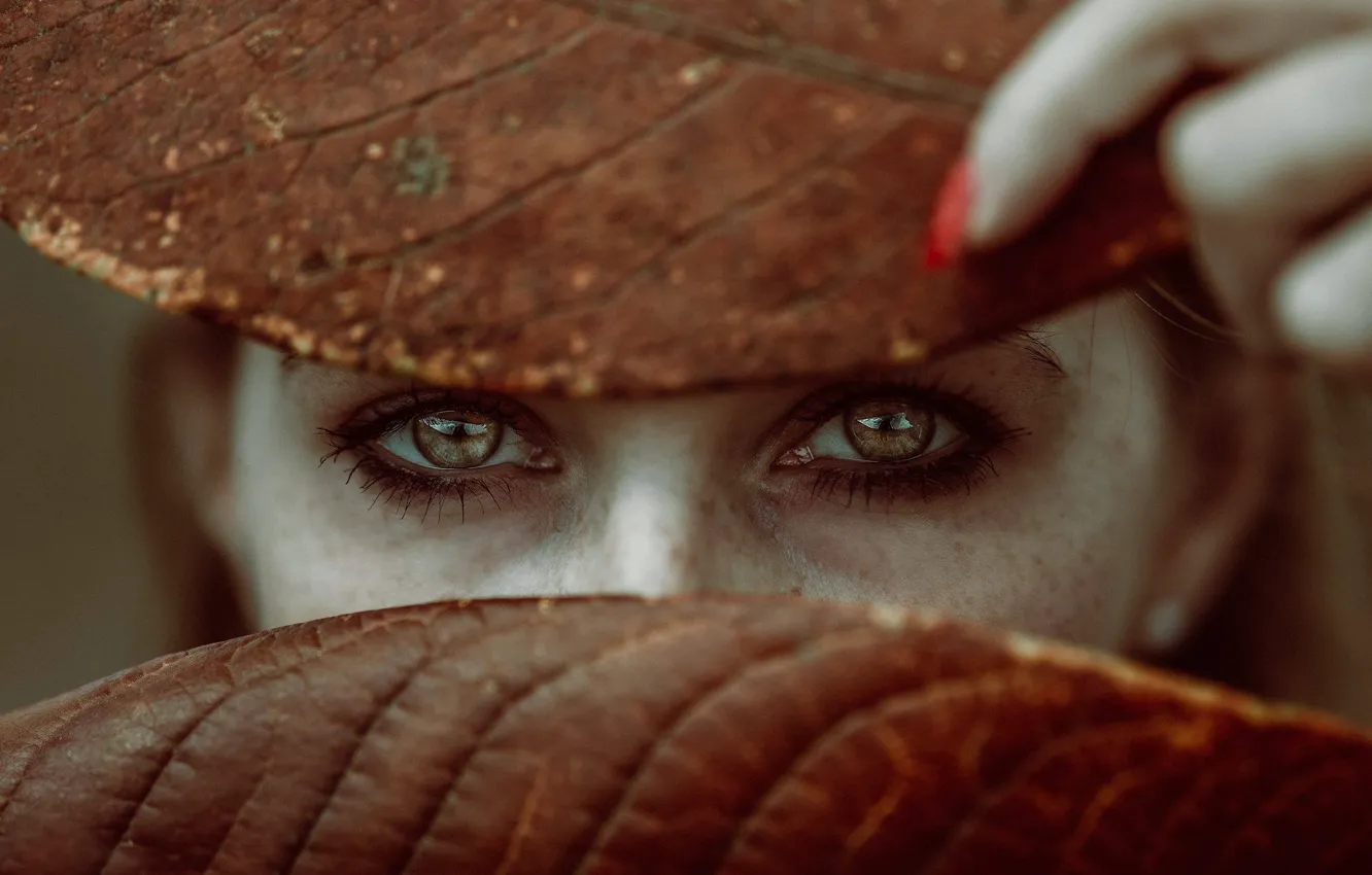 Фото обои глаза, взгляд, листья, девушка, лицо, настроение, веснушки, пальцы