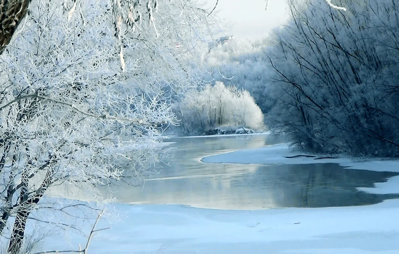 Фото обои зима, иней, снег, лёд, Река