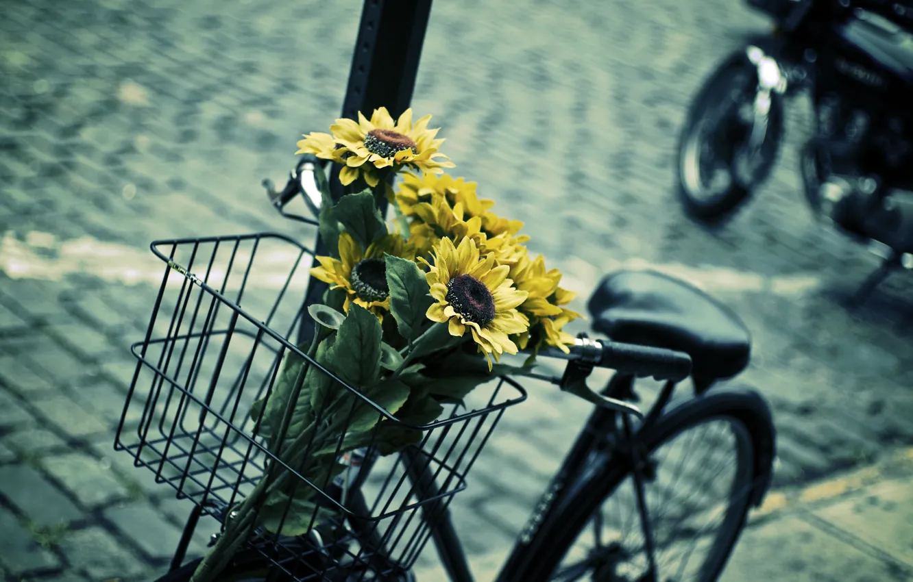 Фото обои листья, цветы, синий, желтый, велосипед, фон, widescreen, обои