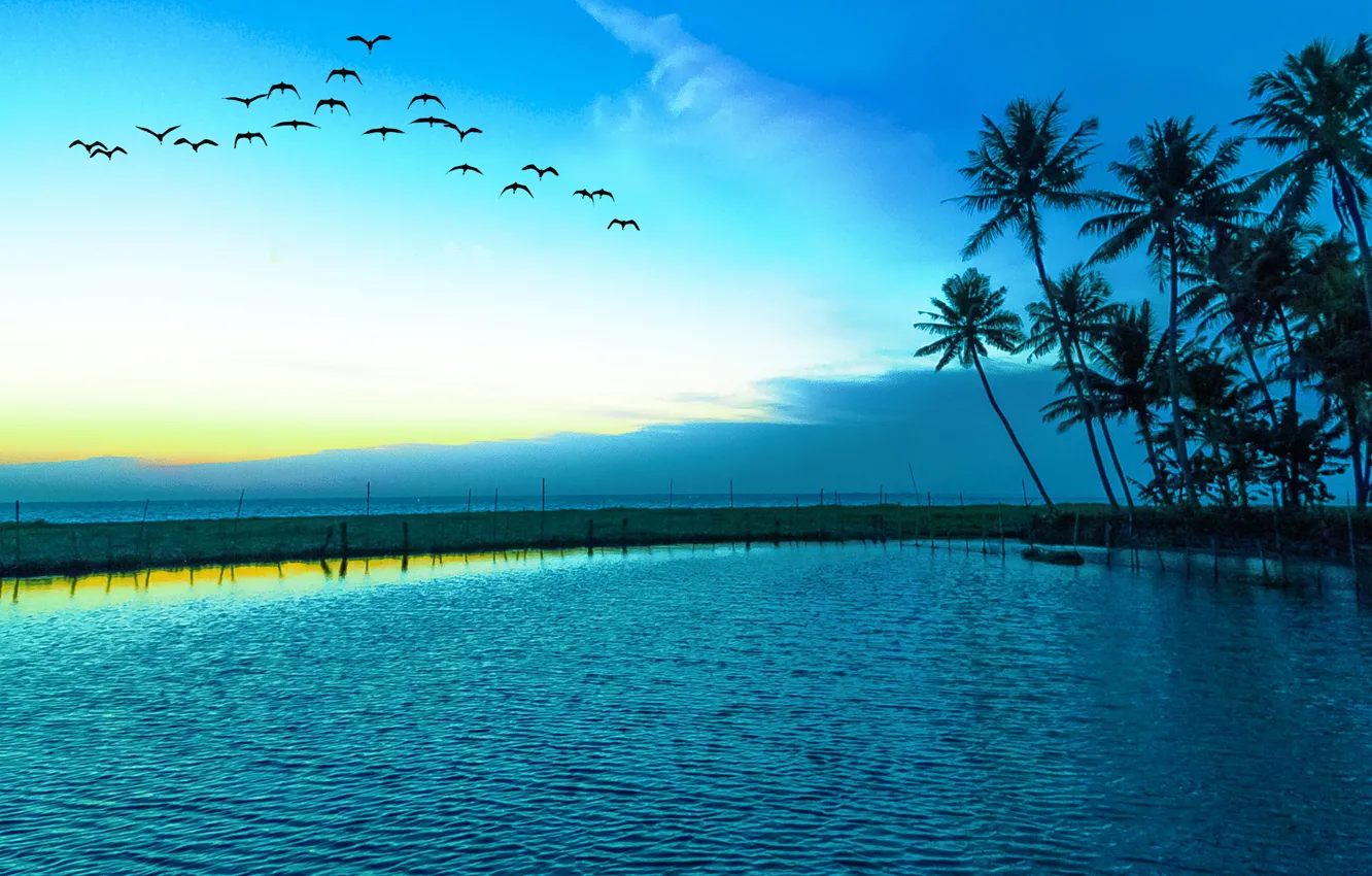 Фото обои море, пейзаж, чайки, голубое небо