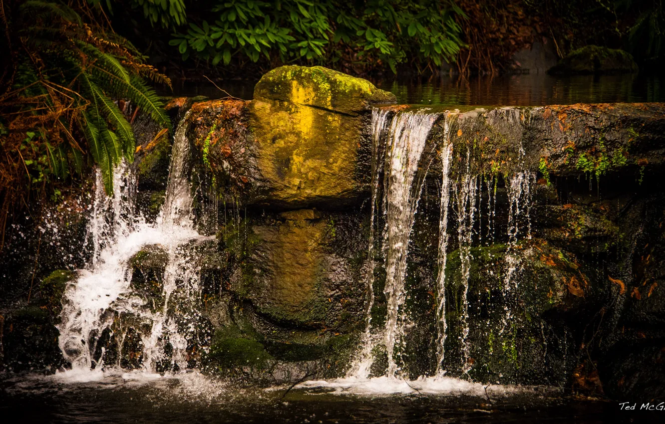 Фото обои водопад, Канада, Ванкувер, Vancouver, Stanely Park