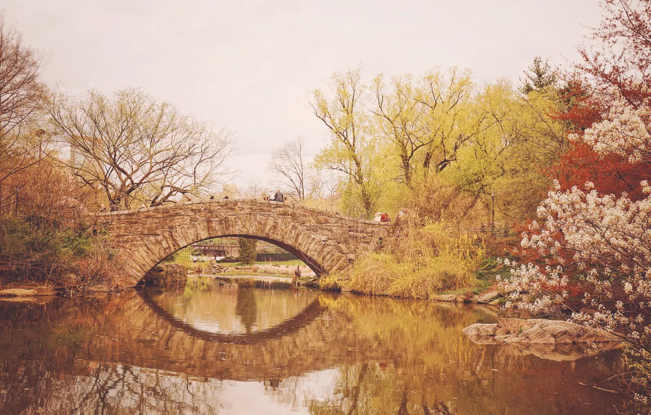 Фото обои деревья, мост, озеро, отражение, Нью-Йорк, зеркало, вишни, Центральный парк