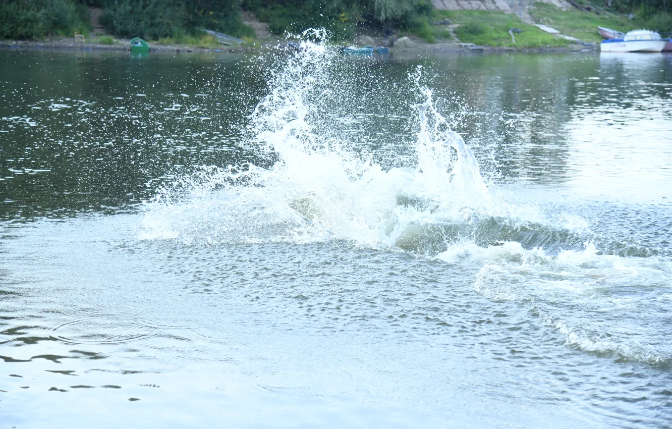Фото обои вода, река, ныряльщик, бульк, речное торнадо