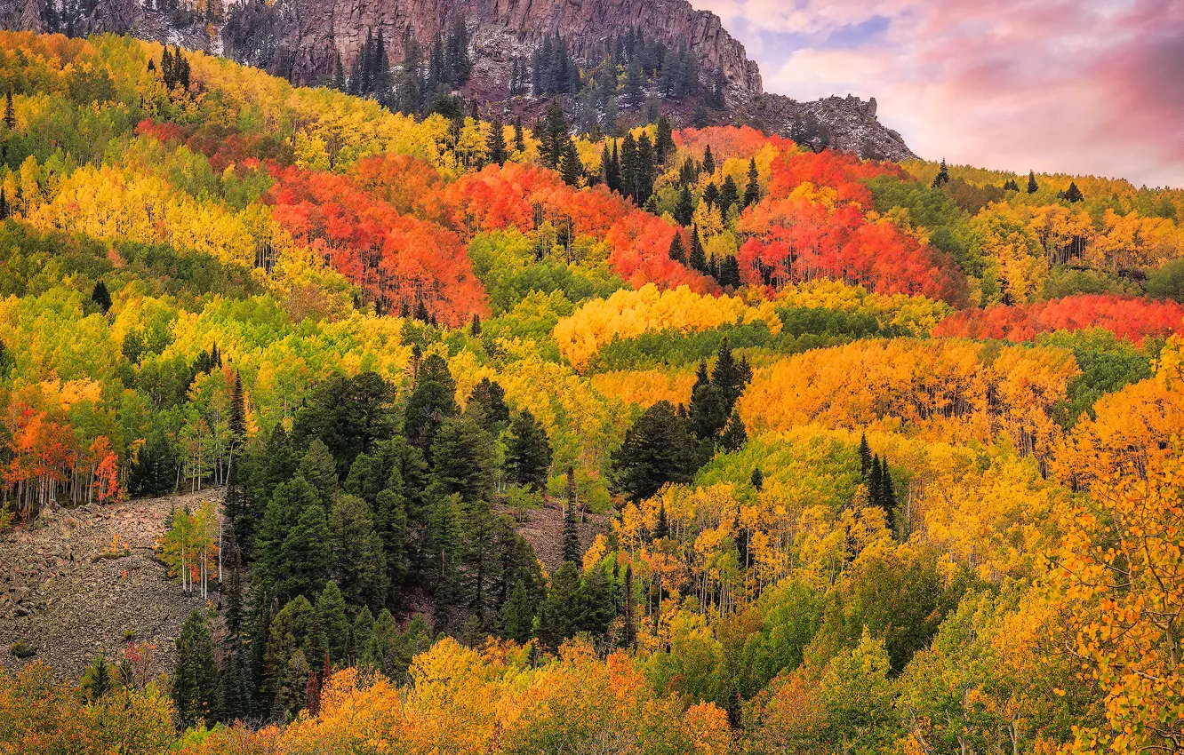 Фото обои осень, лес, облака, деревья, горы, скалы, Colorado, San Juan Mountains