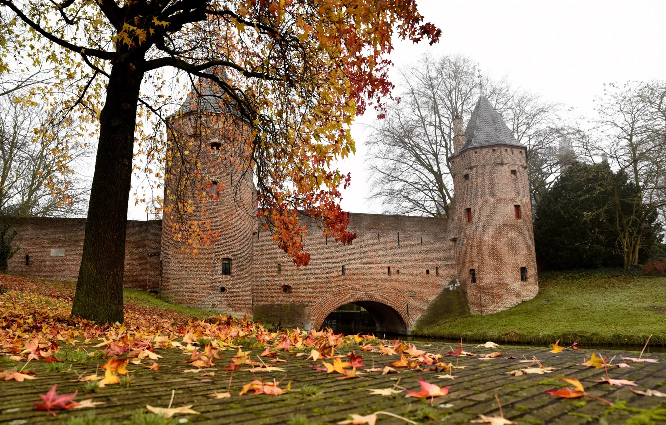 Фото обои Город, Осень, Листья, Замок, Канал, Башни