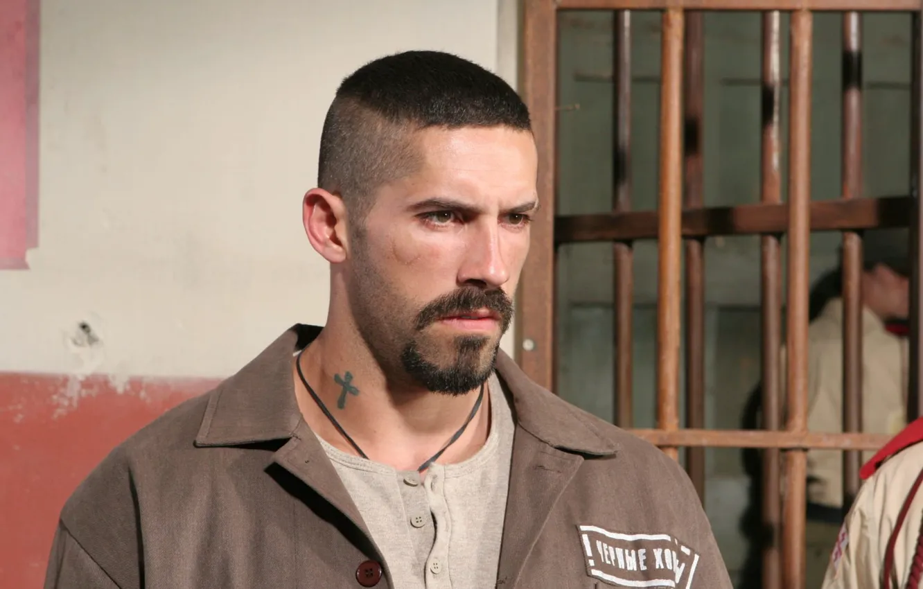 Фото обои Скотт Эдкинс, Scott Adkins, Юрий Бойко, Неоспоримый