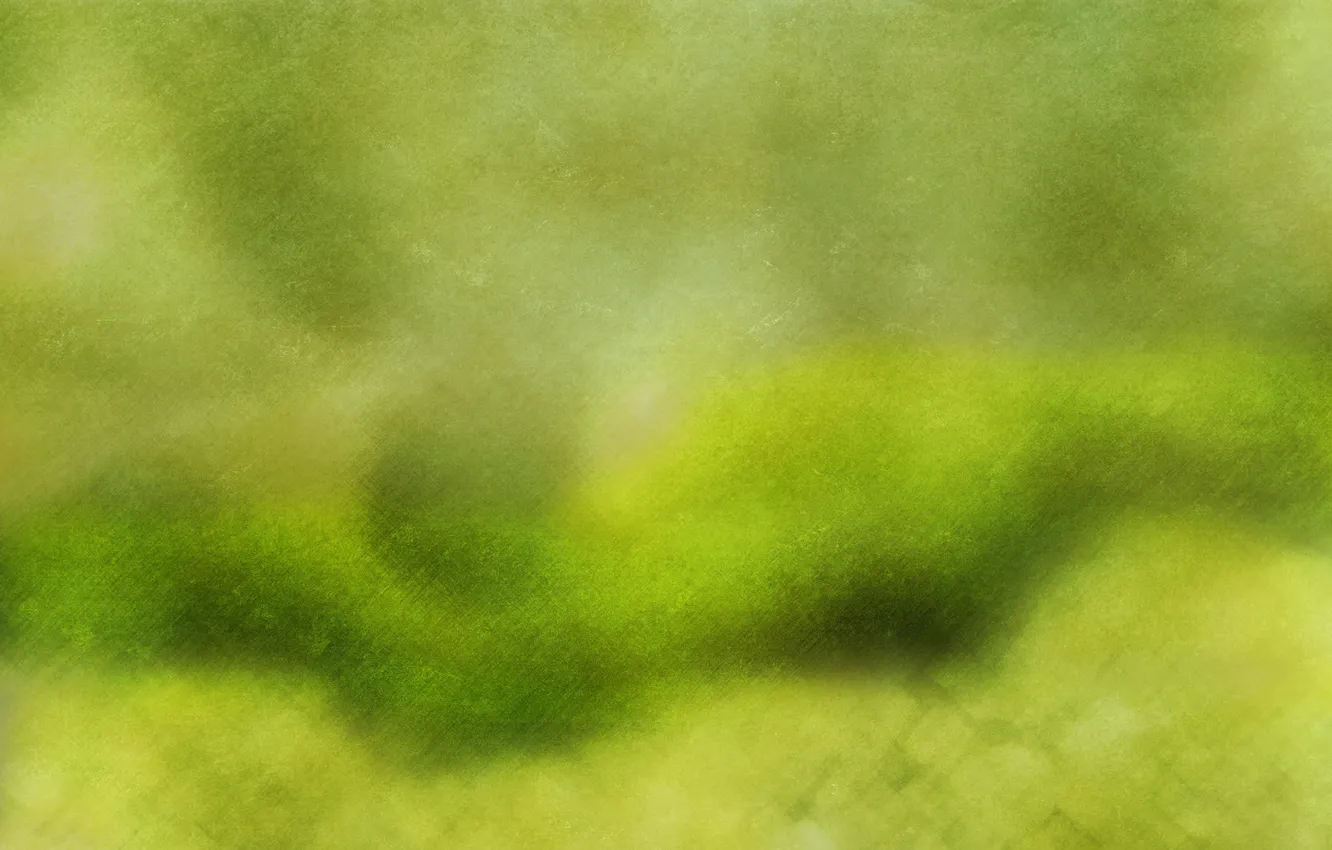 Фото обои линии, зеленый, светлый, текстура, салатовый, огурцовый, маринадный, рассол