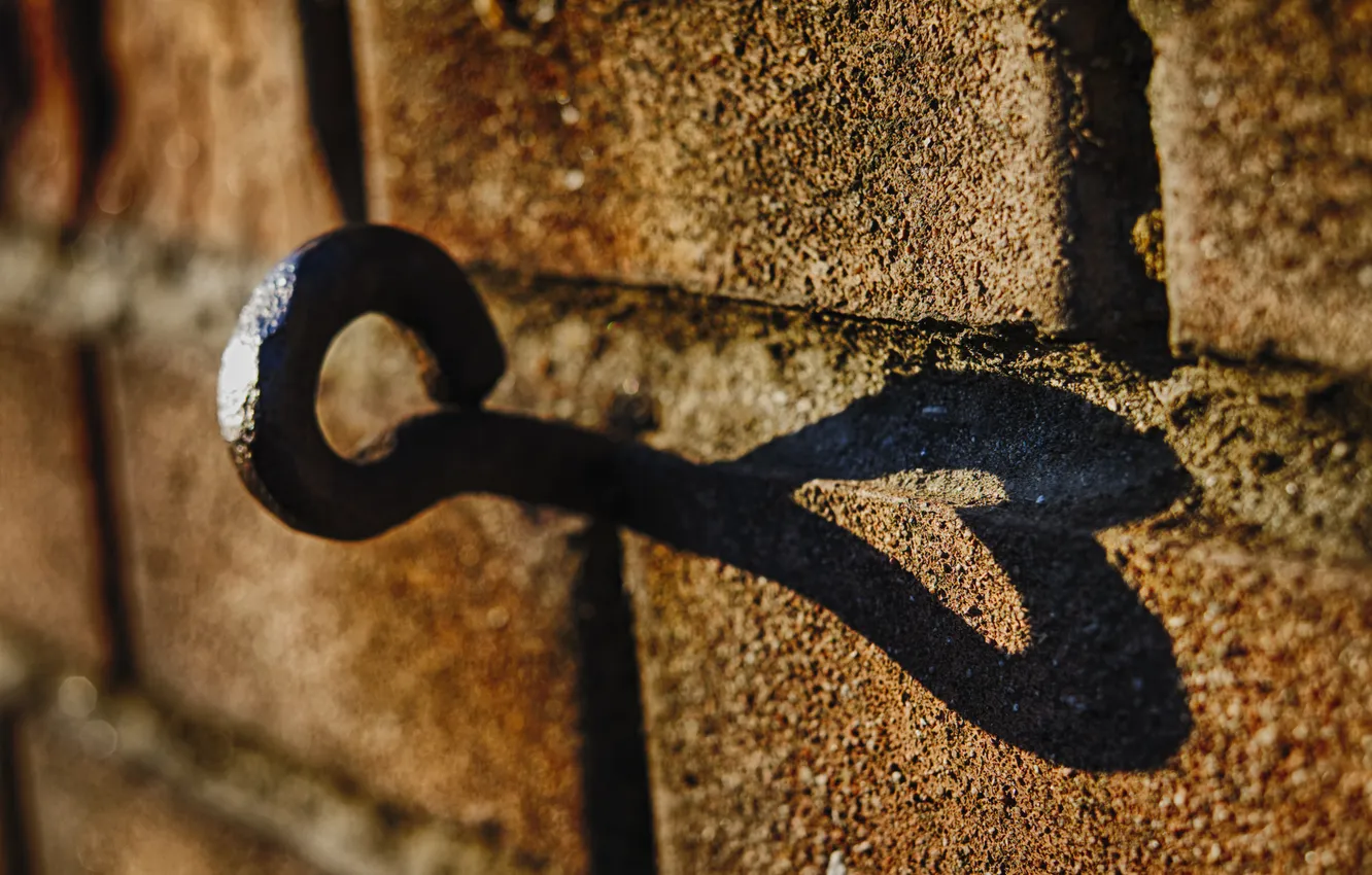 Фото обои стена, сердце, тень