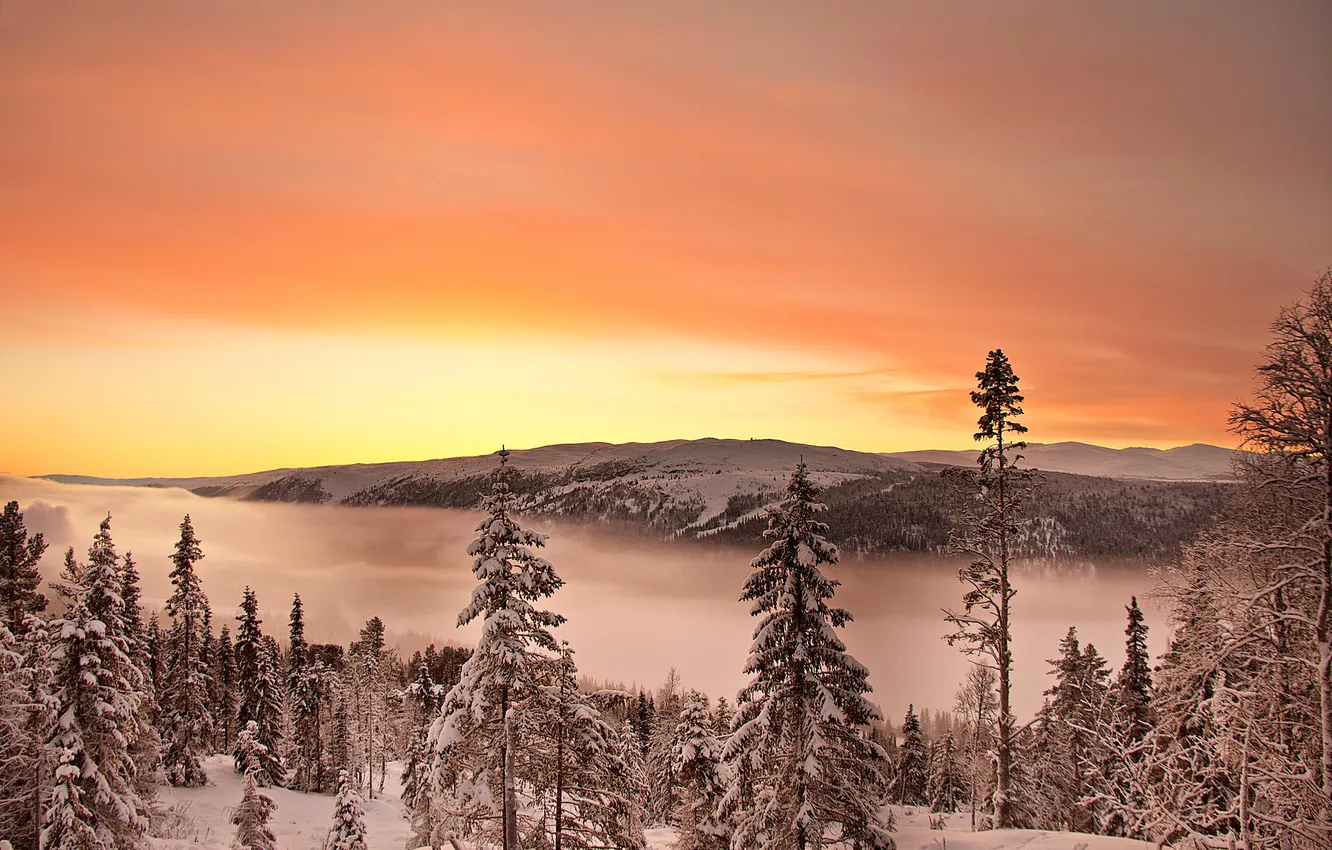 Фото обои зима, снег, деревья, горы, рассвет, леса