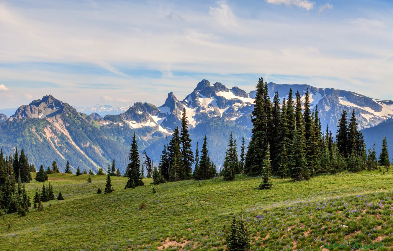 Фото обои горы, утро, ели, Вашингтон, США, Mount Rainier National Park