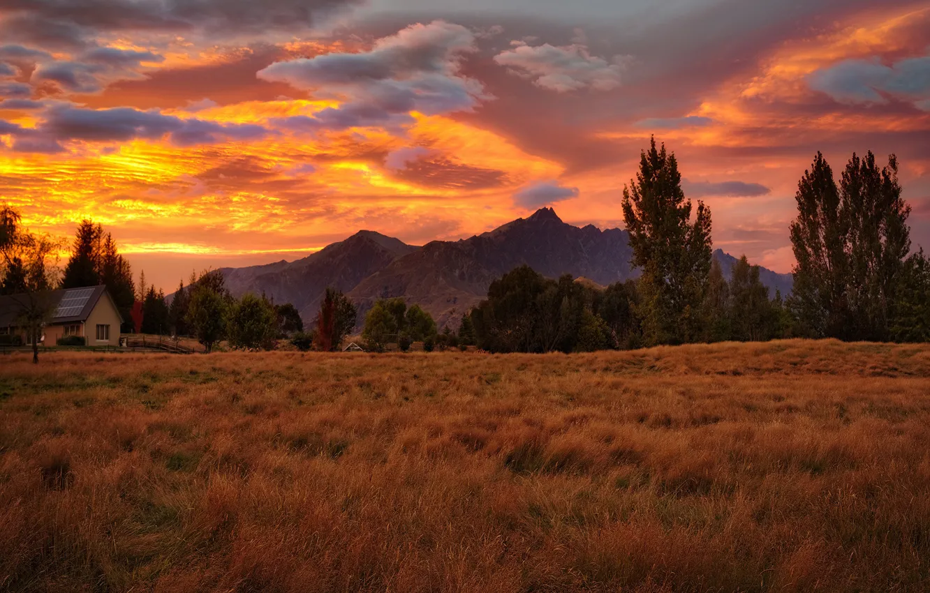 Фото обои поле, осень, трава, облака, деревья, пейзаж, закат, горы