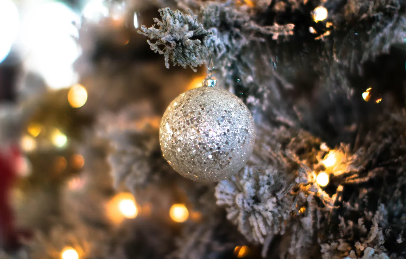 Фото обои зима, иней, шарики, свет, ветки, праздник, шары, игрушки