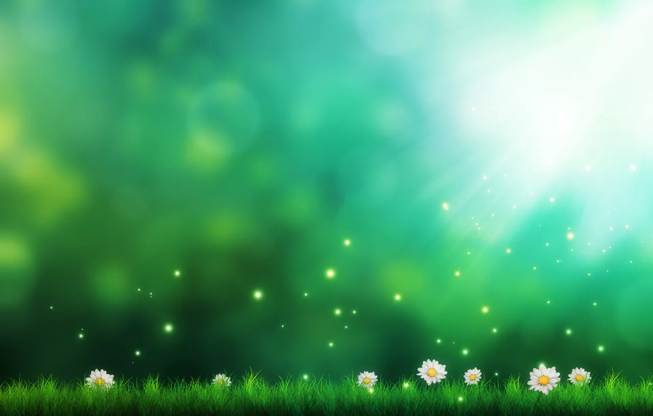Фото обои трава, цветы, рисунок, ромашки, арт, искры, зеленый фон