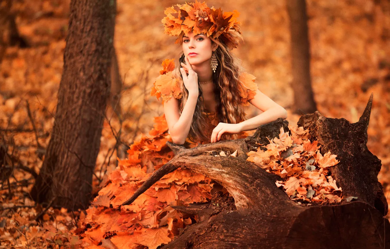 Фото обои лес, листья, девушка, венок, autumn style, sad time