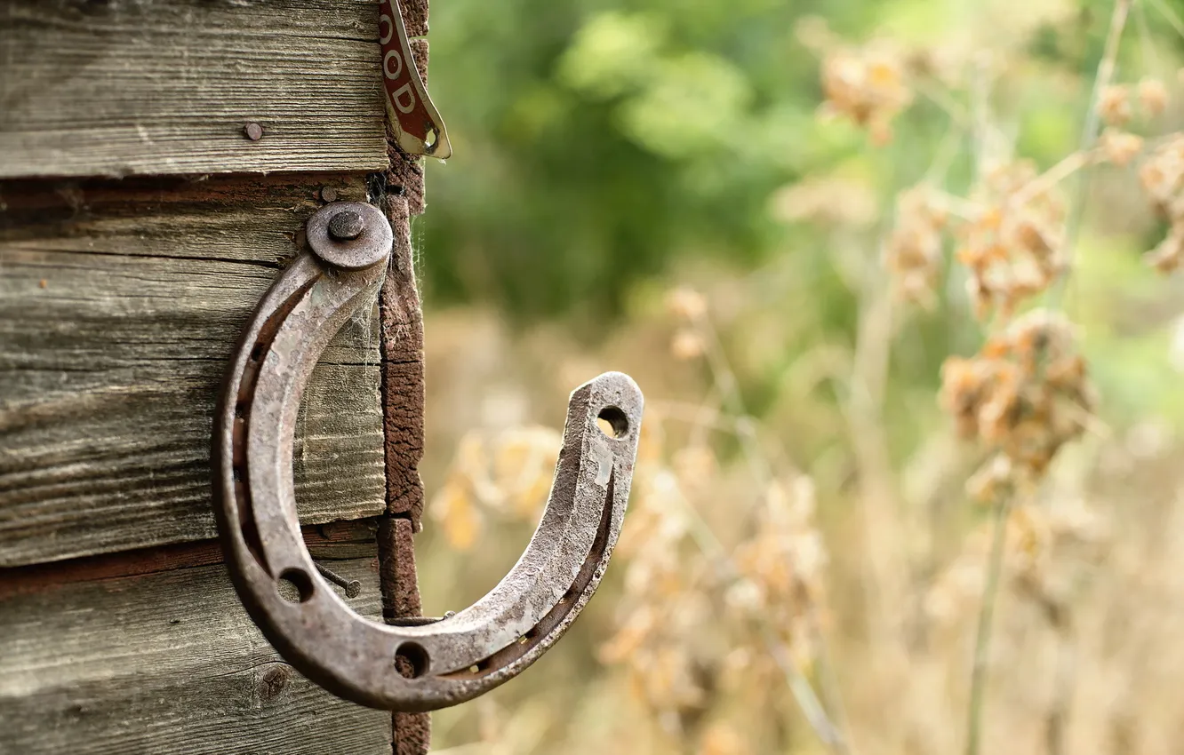 Фото обои horse, shoe, farm, shed, horseshoe, luck