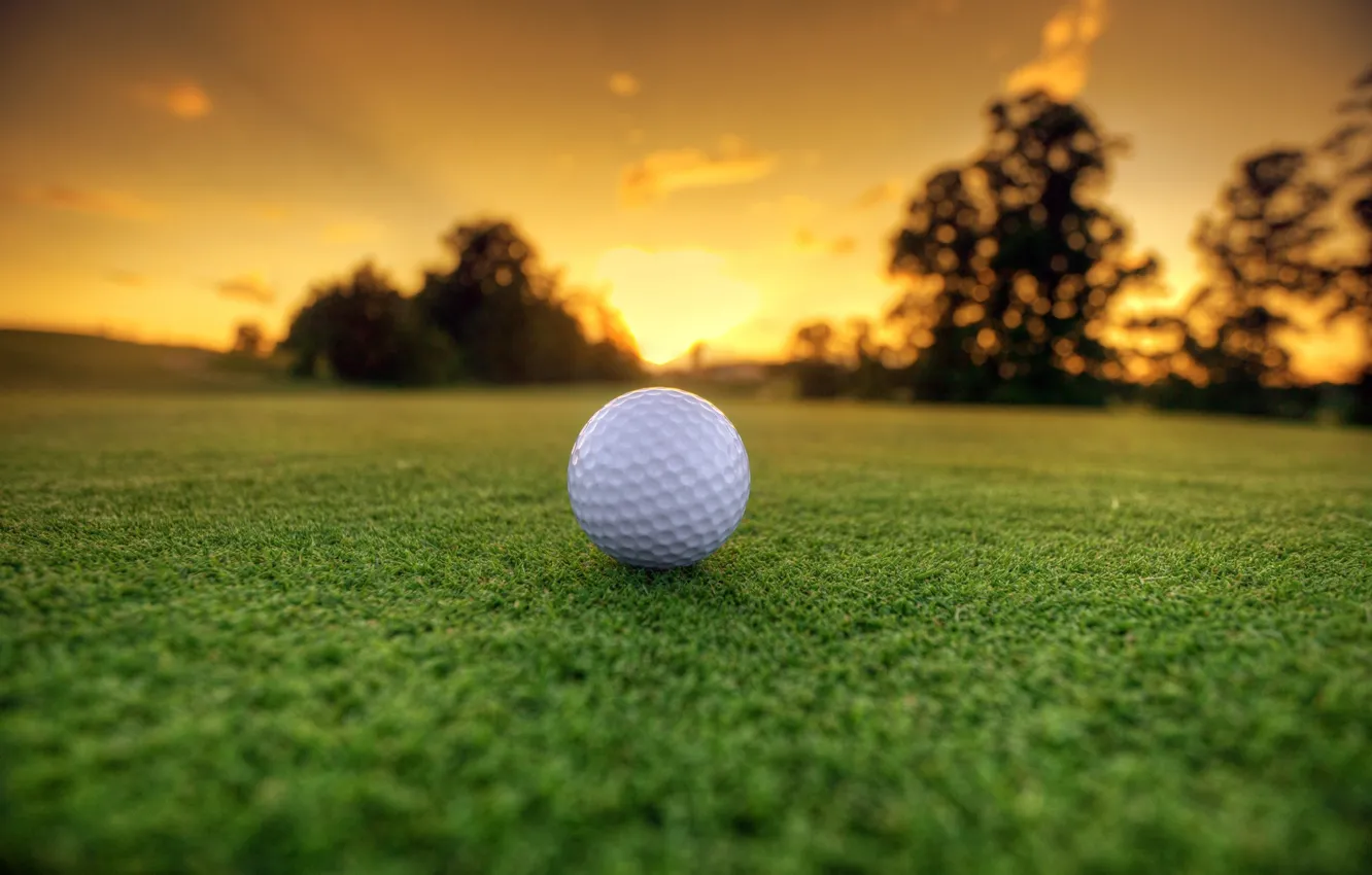 Фото обои Grass, Landscape, Golf Ball, Sun Dawn