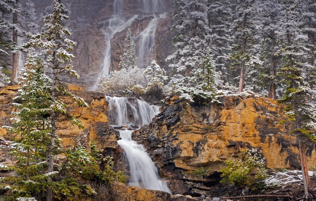 Фото обои деревья, скалы, водопад, Канада, Canada, Jasper National Park, заповедник, Национальный парк Джаспер