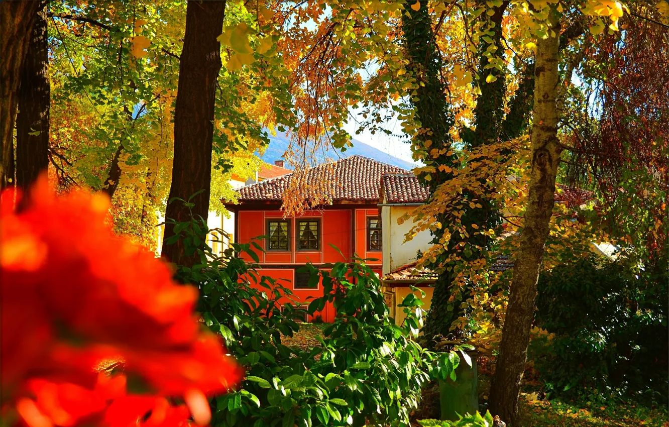 Фото обои Осень, Дом, House, Fall, Autumn