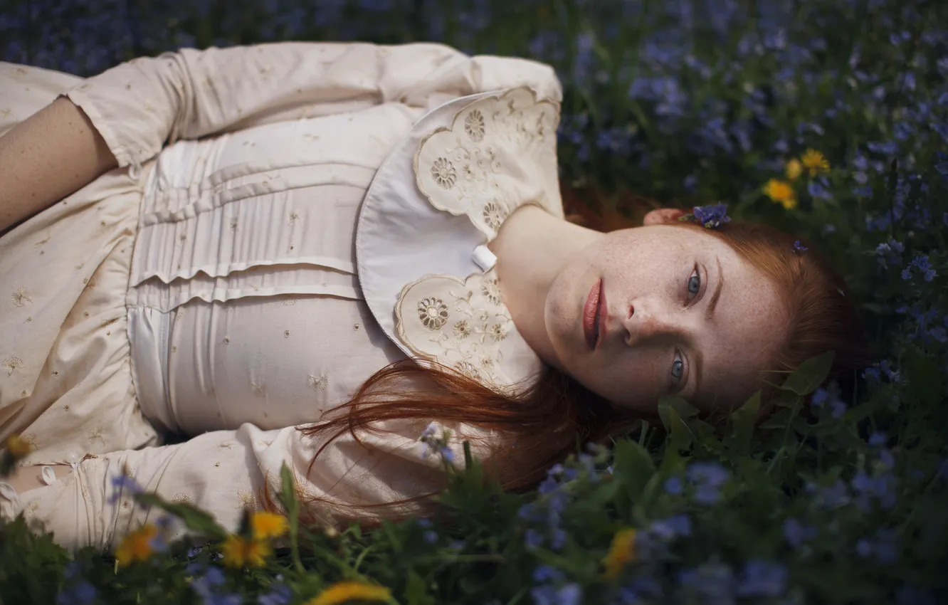 Фото обои лето, взгляд, девушка, цветы, природа, поза, поляна, луг