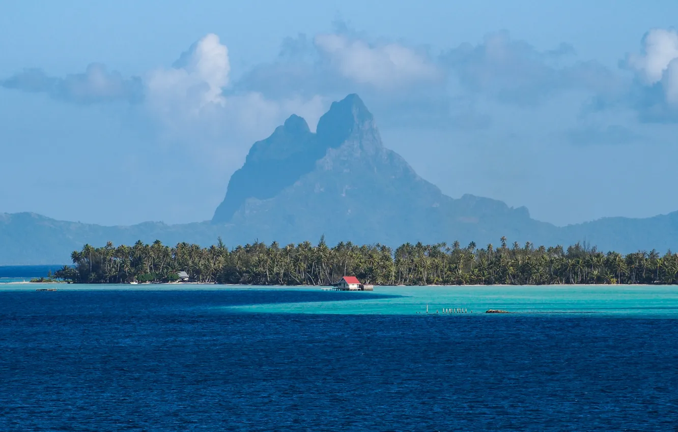 Фото обои море, горы, тропики, пальмы, Бора-Бора, Bora-Bora, French Polynesia, Hipu