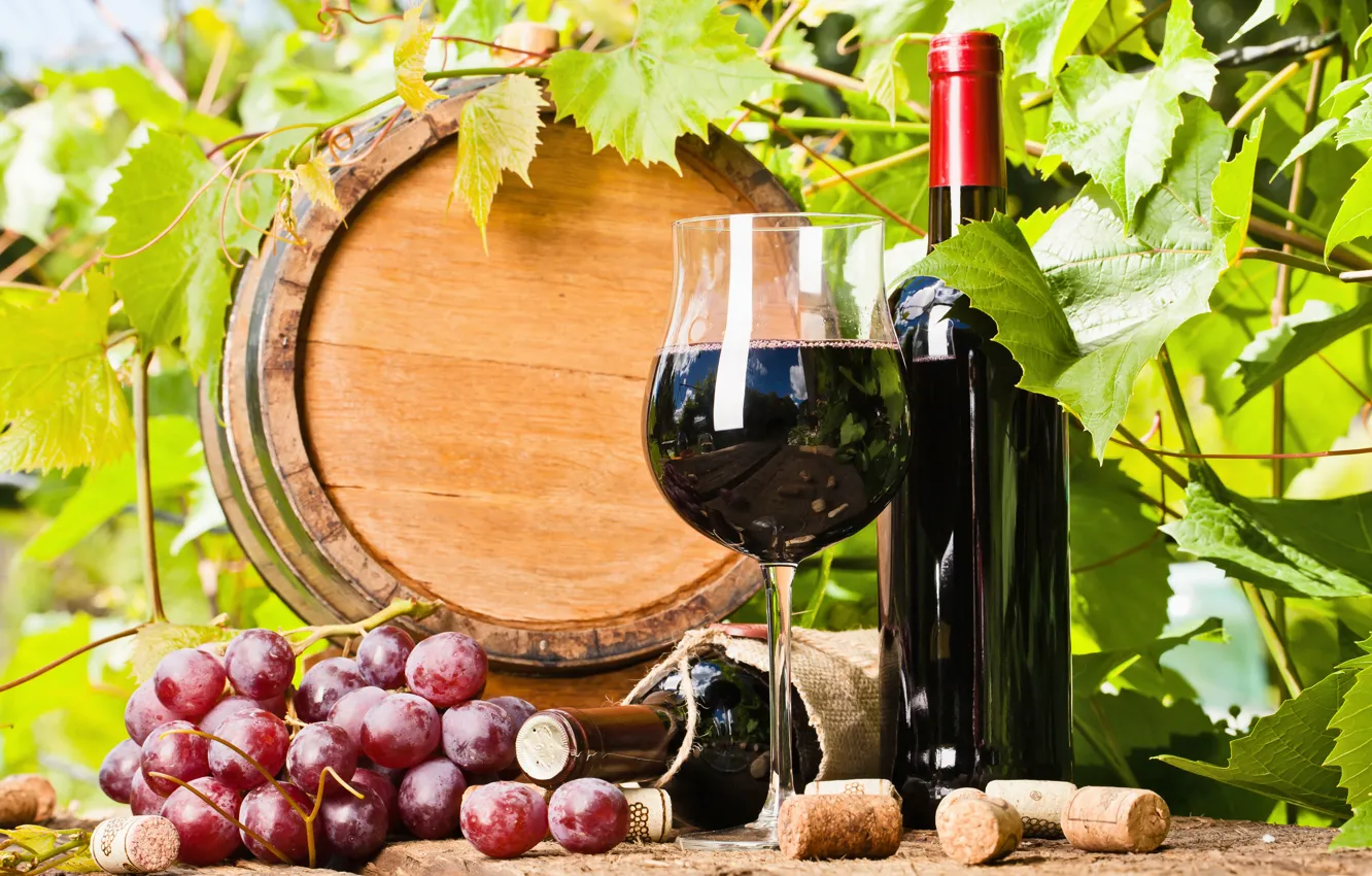 Фото обои листья, вино, виноград, пробки, бочка