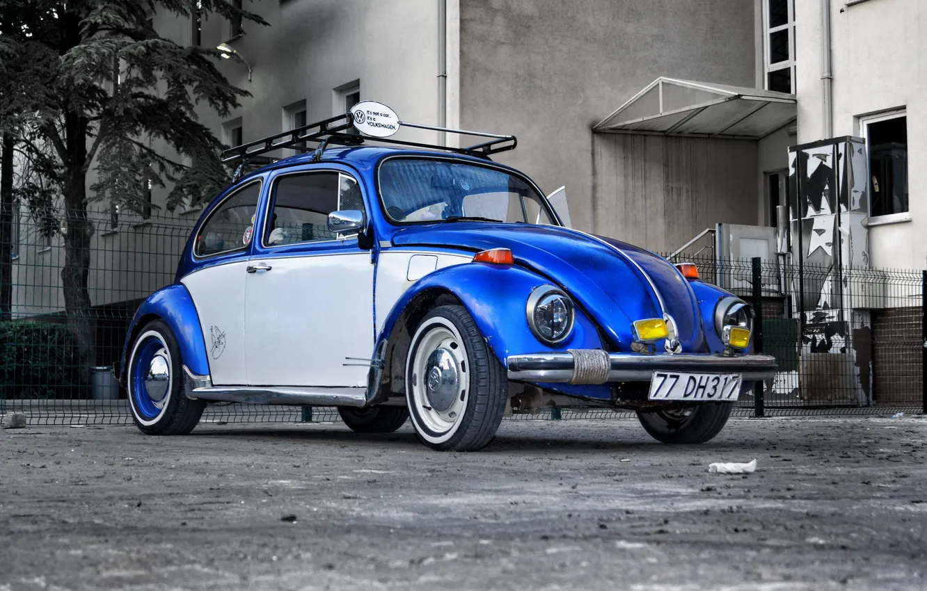 Фото обои Volkswagen, Blue, White, Beetle, Volkswagen Beetle