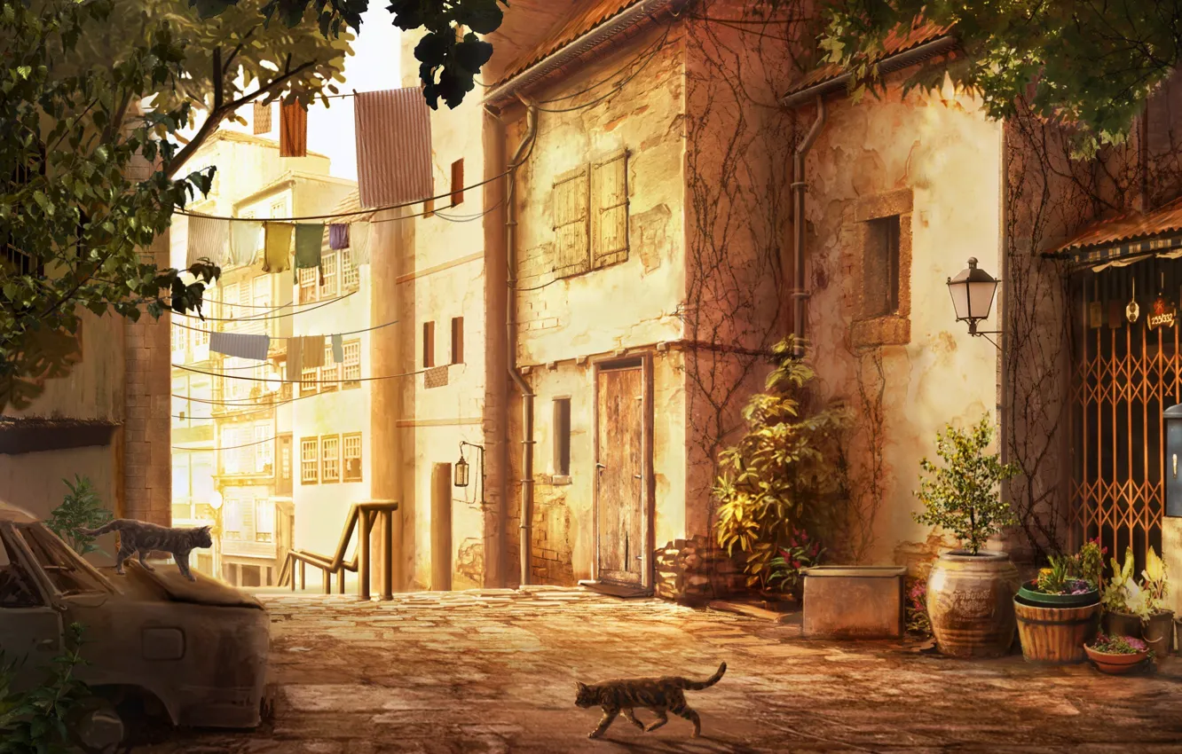 Фото обои машина, кошки, город, улица, дома, растения, остов, арт
