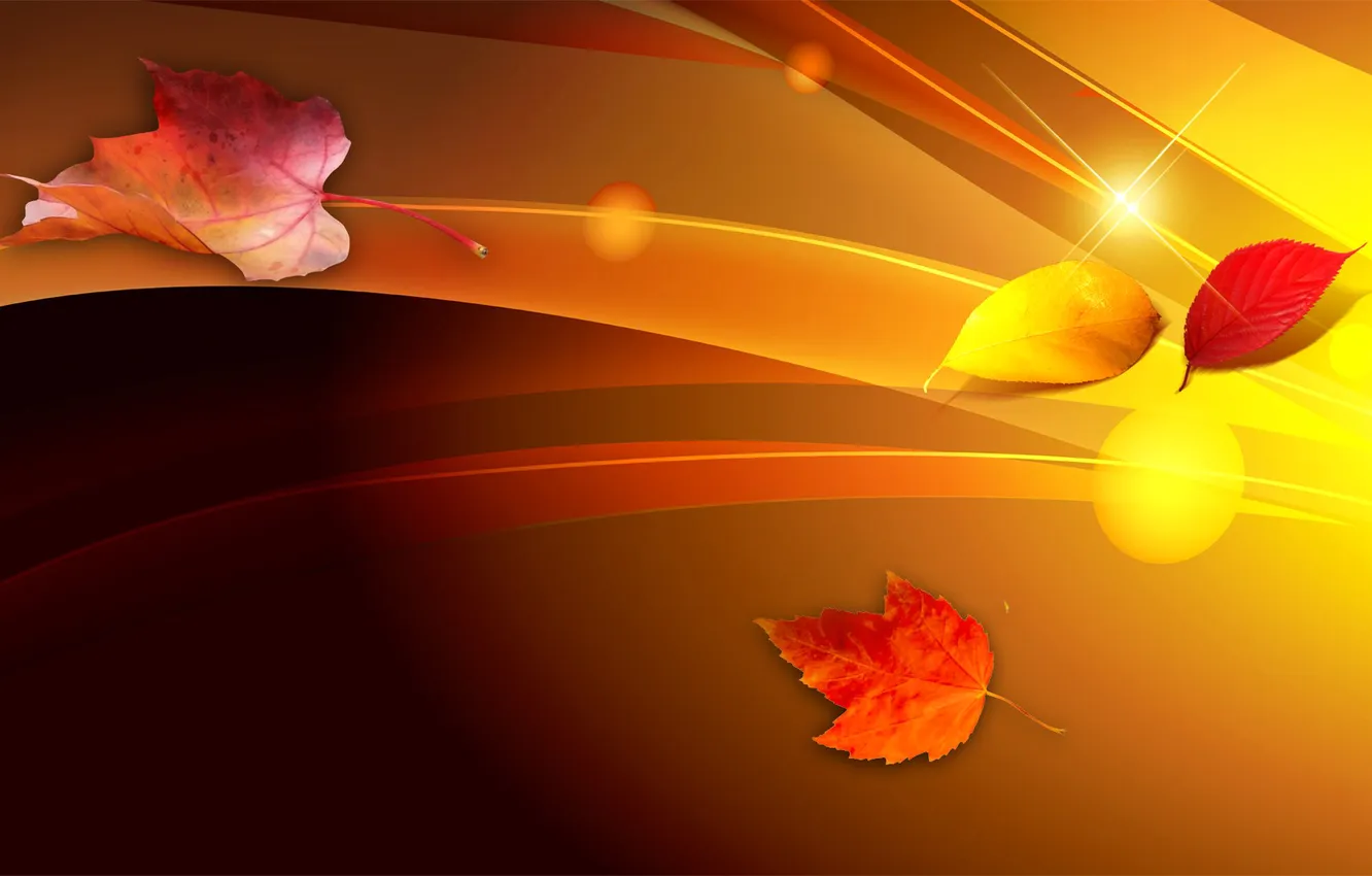 Фото обои осень, листья, линии, коллаж