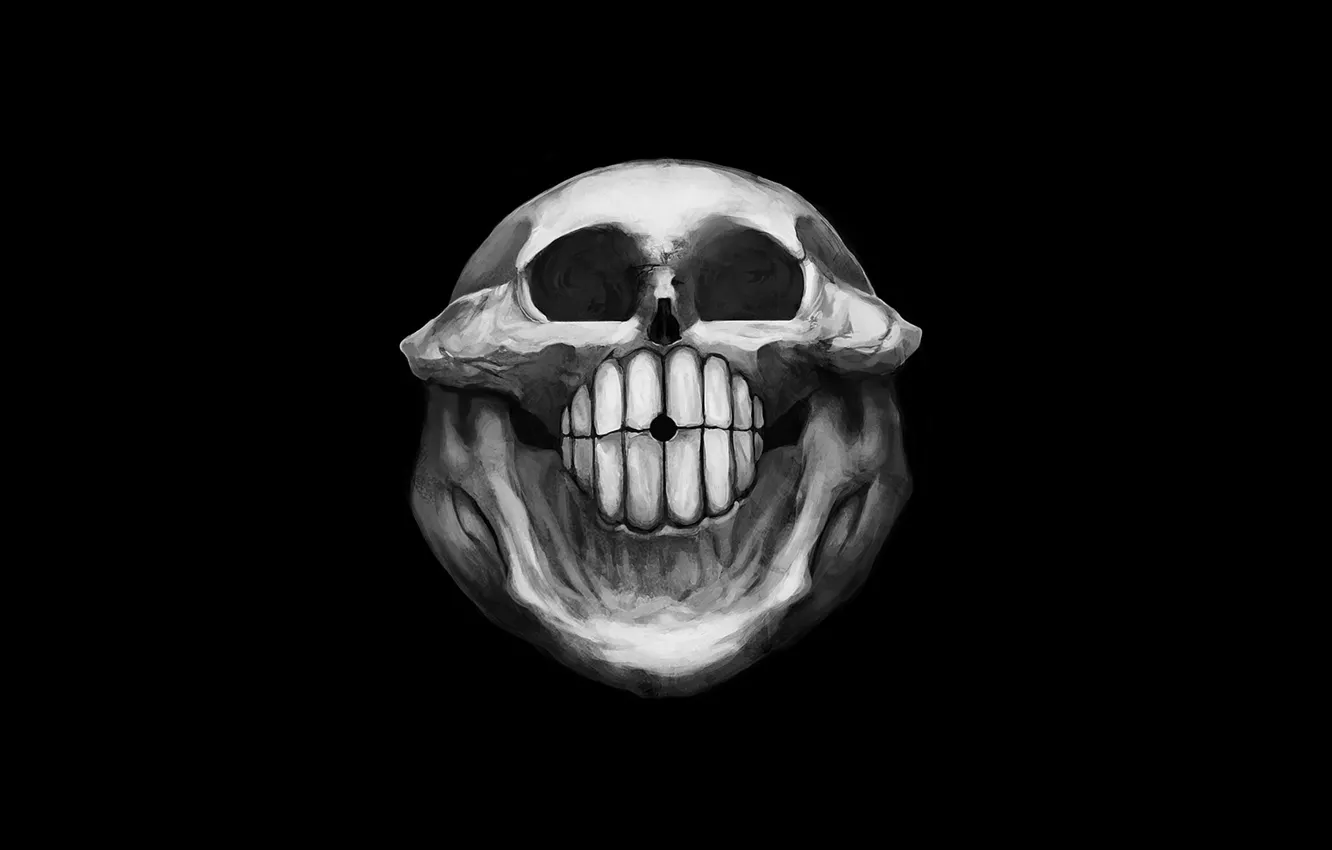 Фото обои skull, white, black, bones