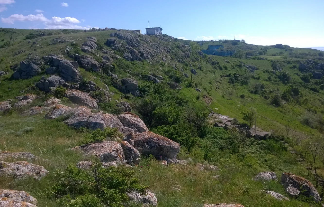 Фото обои трава, природа, камни