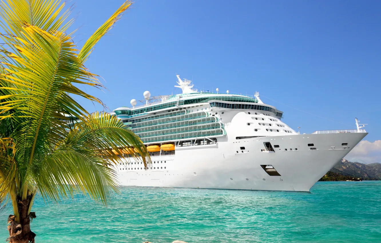 Фото обои пальмы, фото, корабль, круизный лайнер