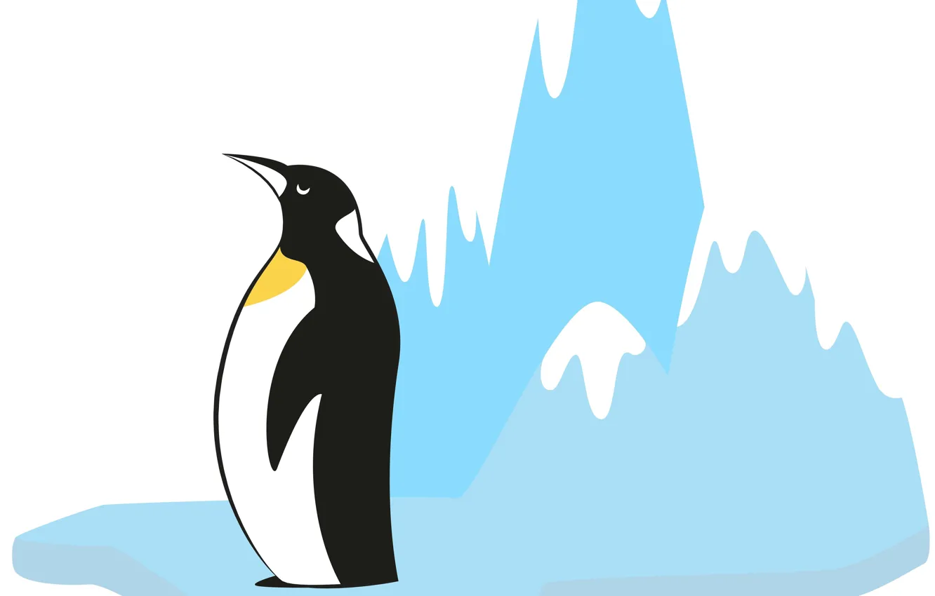 Фото обои фон, пингвин, льдина