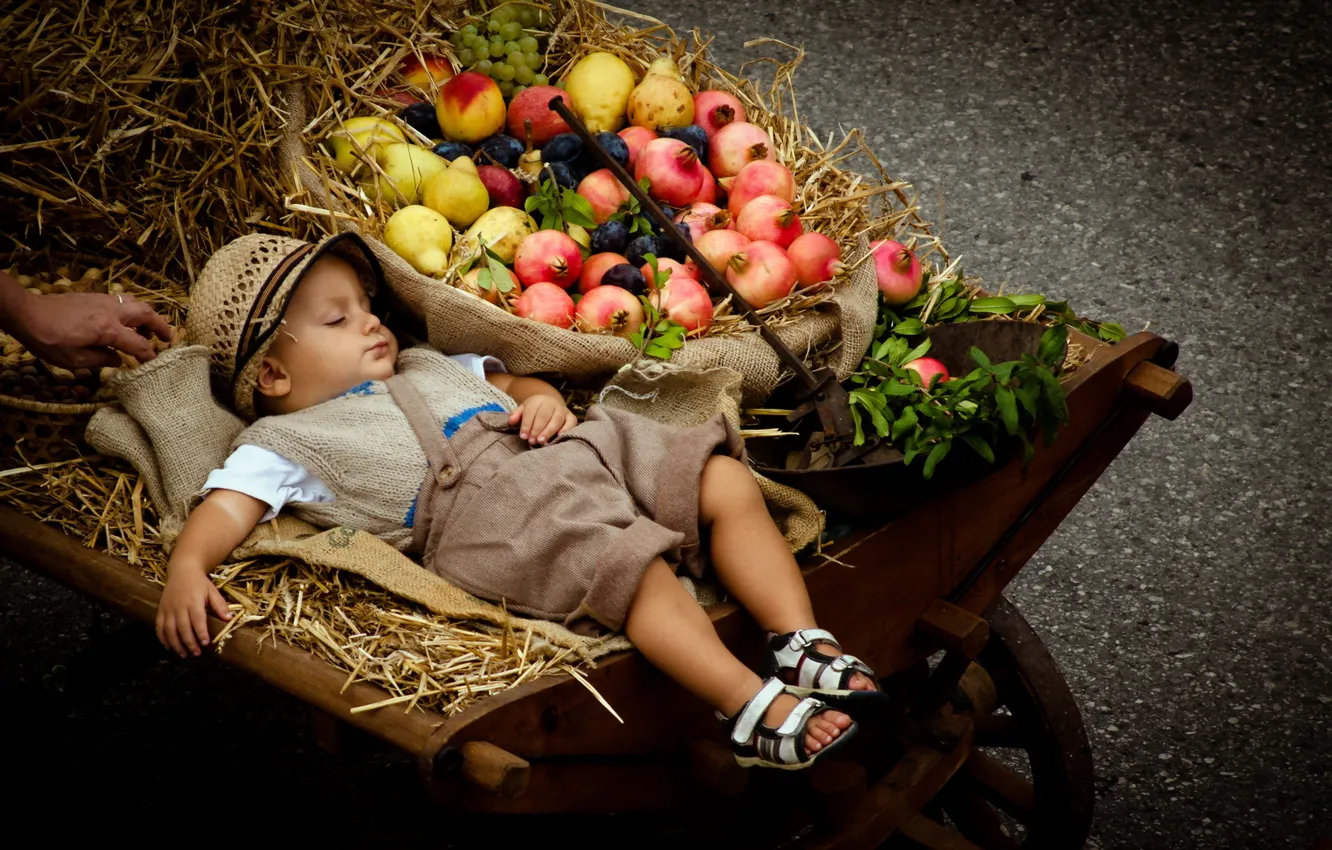 Фото обои мальчик, коляска, фрукты