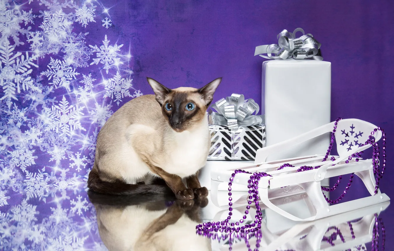 Фото обои кошка, снежинки, отражение, подарки, Новый год, бусы, санки, котейка