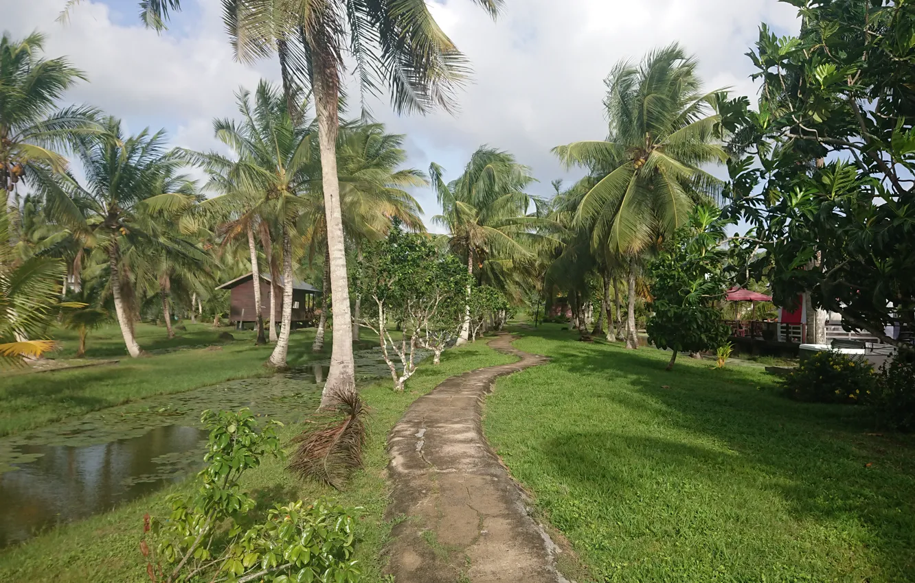 Фото обои Frederiksdorp Suriname, Nature in Suriname, Resorts in Suriname, Plantage Frederiksdorp Suriname