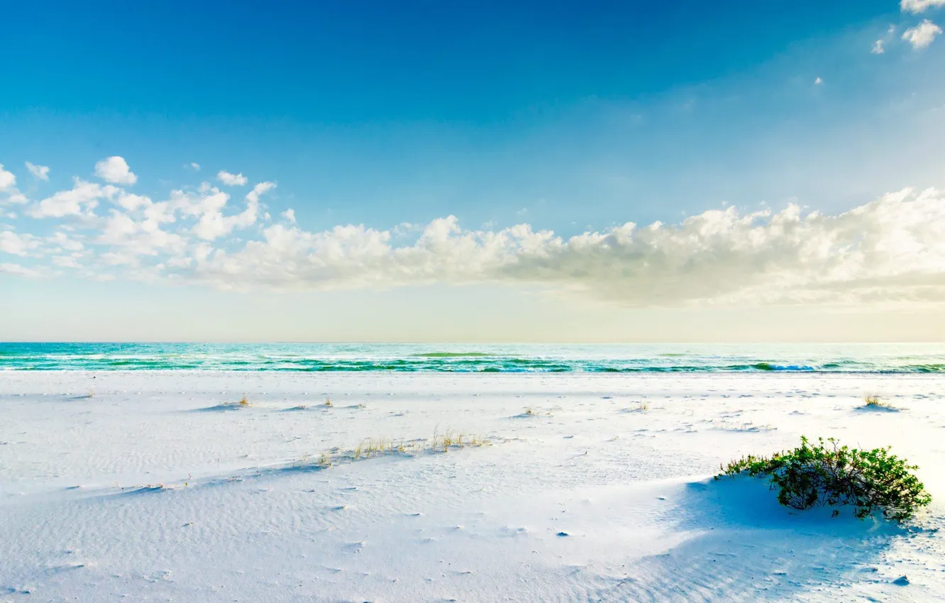 Фото обои песок, пляж, трава, океан, берег