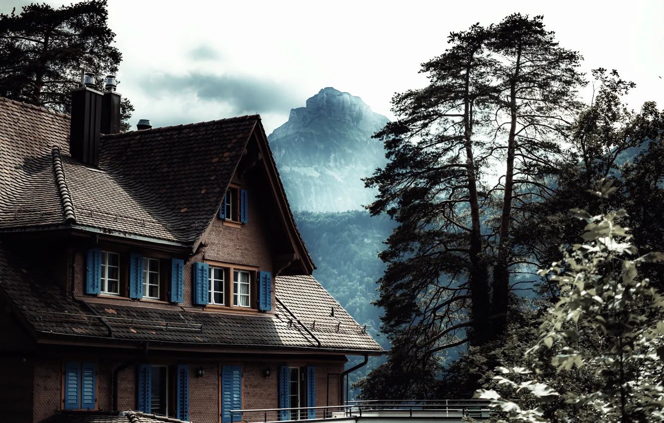 Фото обои деревья, горы, дом, меланхолия, пасмурное небо