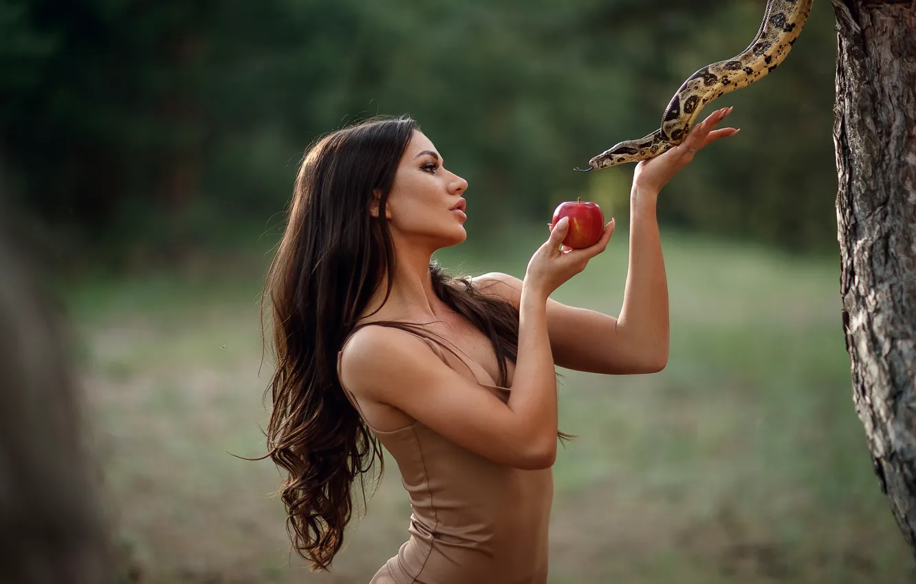 Фото обои девушка, поза, фон, яблоко, змея, руки, длинные волосы, Сергей Сорокин
