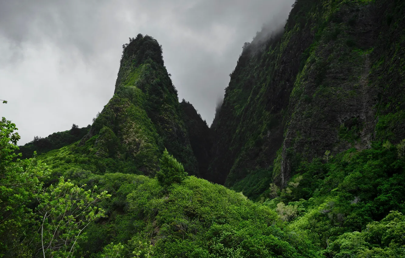 Фото обои горы, Гавайи, долина Иао