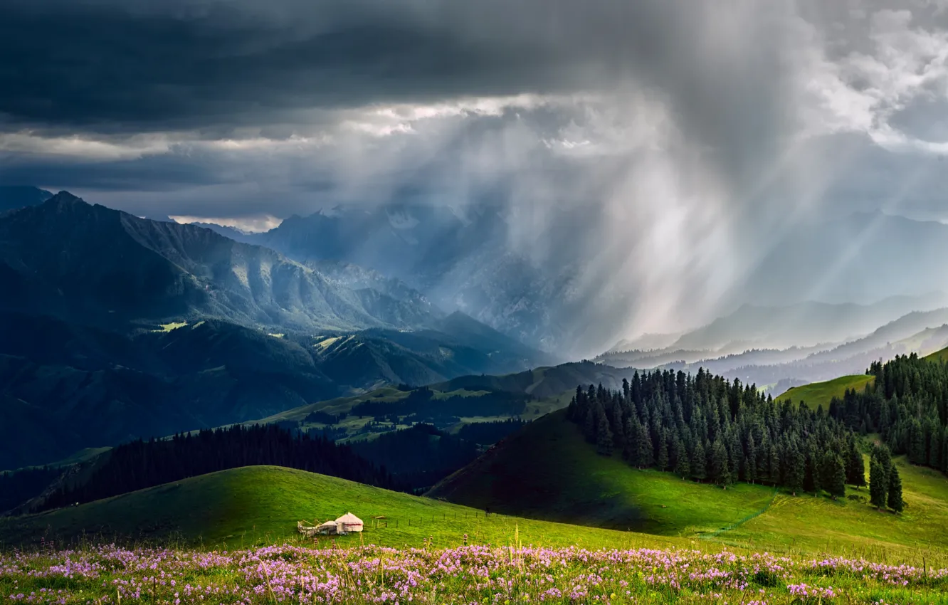 Фото обои лес, небо, облака, горы, тучи, дождь, долина, шатёр