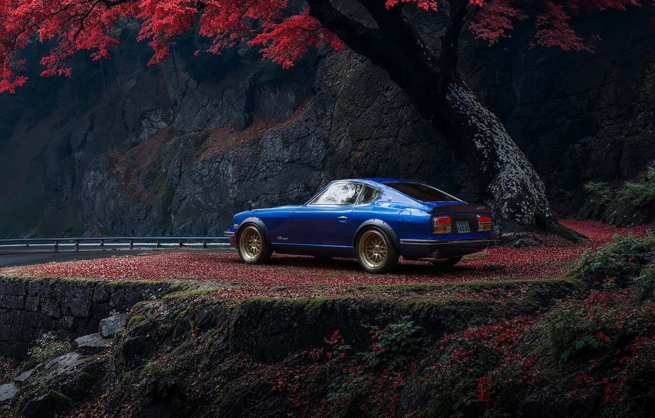 Фото обои car, Japan, custom, maple, Fairlady, custom car, Fairlady 240z, Nissan Fairlady Z 240z