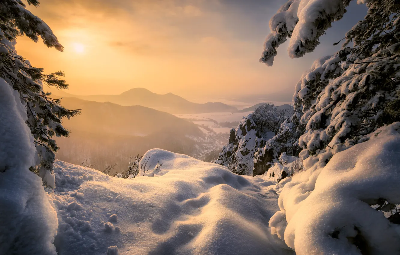 Фото обои зима, снег, деревья, пейзаж, горы, природа, ели