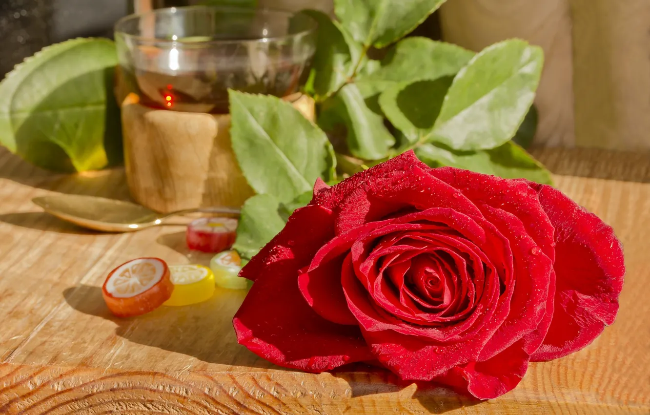 Фото обои роза, лепестки, красная, мармелад