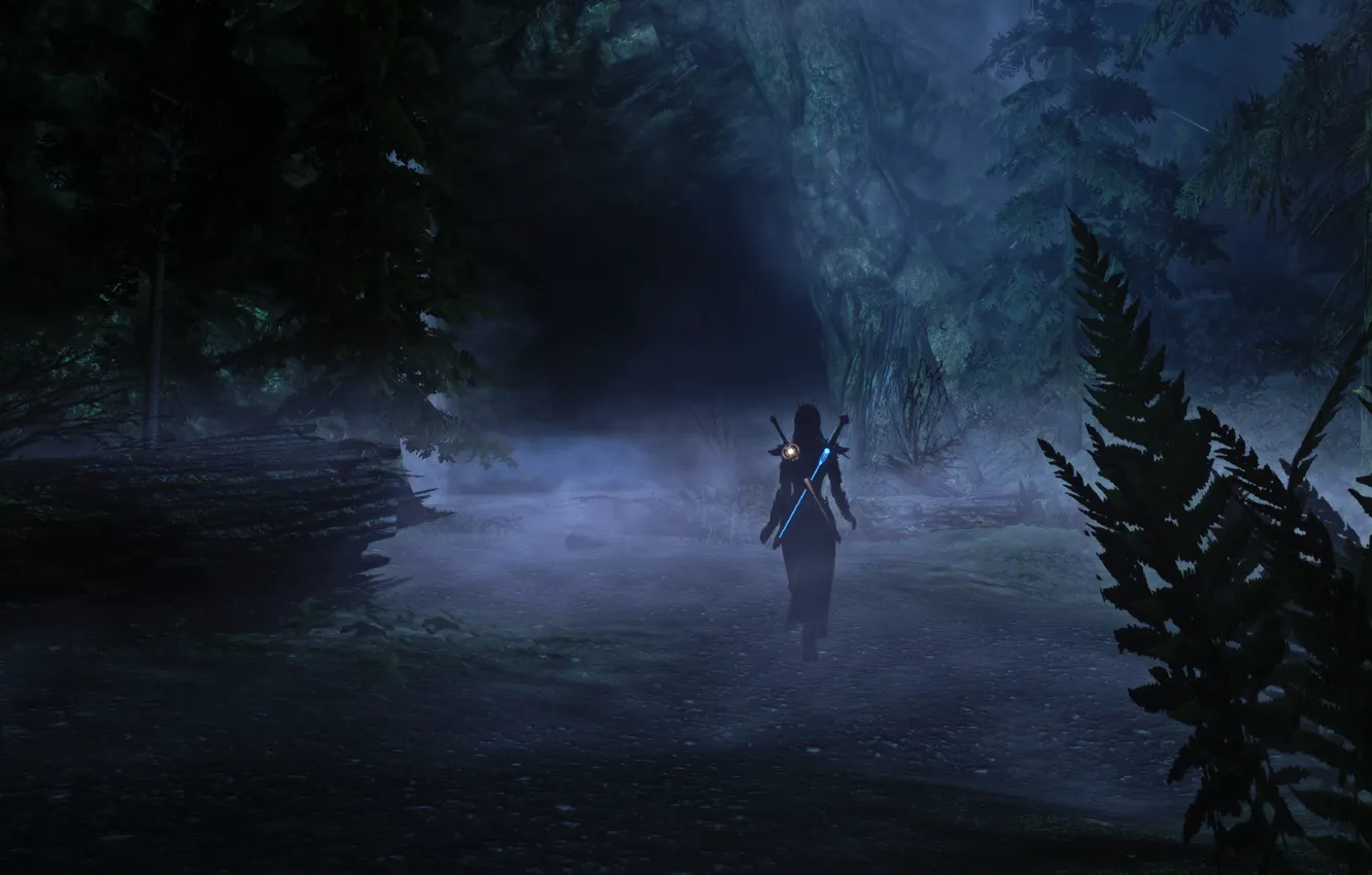 Фото обои Skyrim, Nord, the elder the scoll