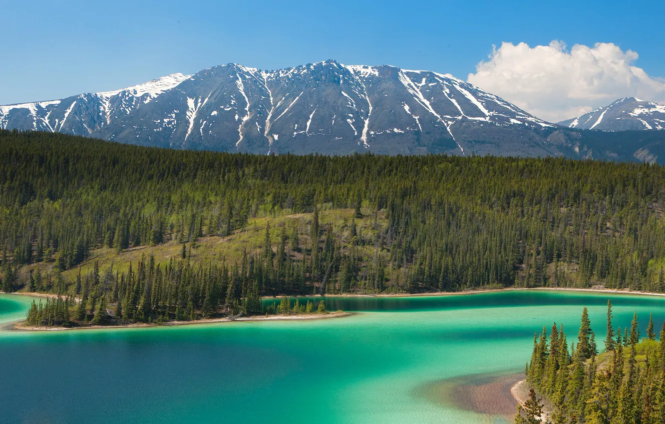 Фото обои деревья, горы, озеро, Alaska, Emerald Lake