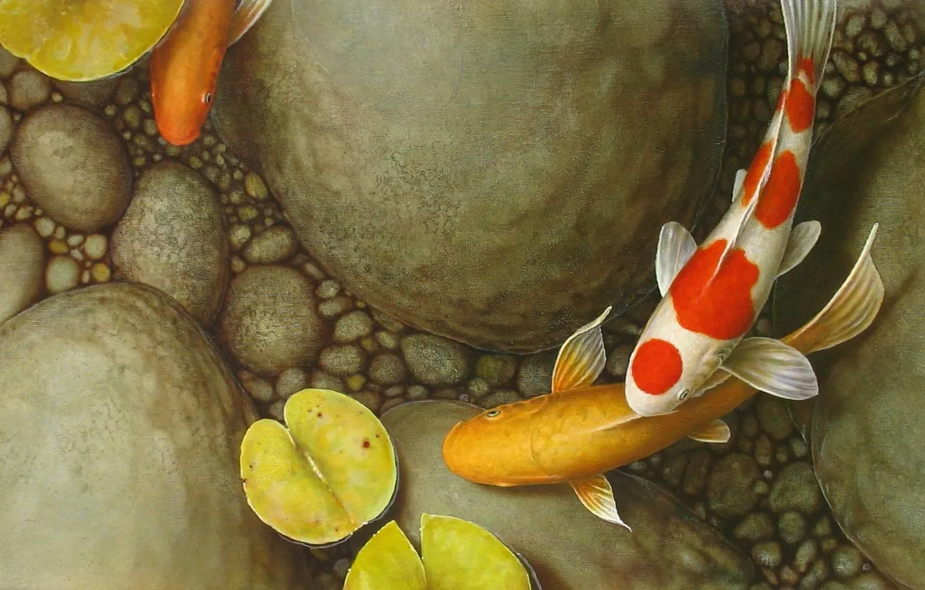 Фото обои листья, рыбки, галька, пруд, камни, картина, арт, кувшинка